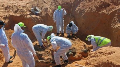 upload 1655105183 1169634382