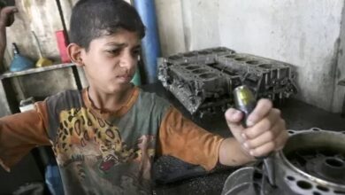 upload 1655109994 1695140417