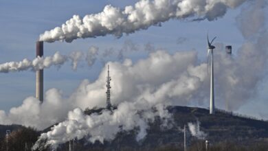 upload 1655266349 1373179469