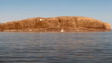 upload 1655267219 1902098221