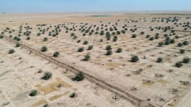 upload 1655404412 61939145