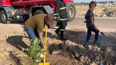 upload 1655491800 1219445626