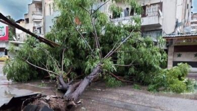 upload 1656159941 1090420059