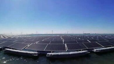 upload 1656219493 541648871