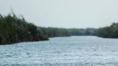 upload 1656246388 563191834