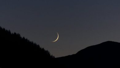 upload 1656524558 248479861