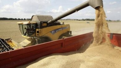 05EC1A4F 282C 4100 8361 3018F46B6BB6