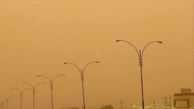 09316148 EDE6 4C30 8073 858AAD34149C