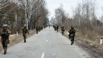 0C336F35 FF16 4EB6 9AAB D0F697E01857