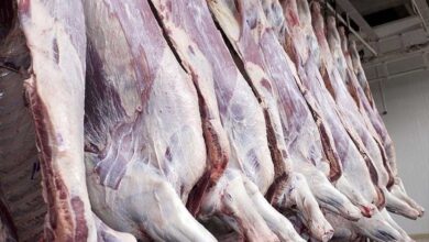 0E6F400A 5DCC 4290 BDD9 B0BCF2D3C518