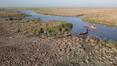 0FEE82D3 0905 477D 8F10 62B8270B678C