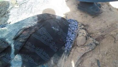 14F94F43 C02F 4832 8ABC 2F7A05BC3824