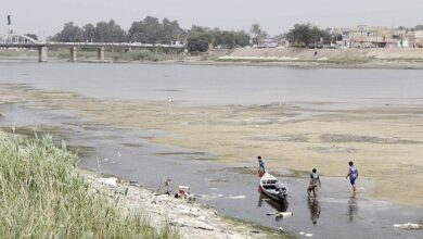 1774BB91 C031 4968 9CBA E7AA08A43E4D