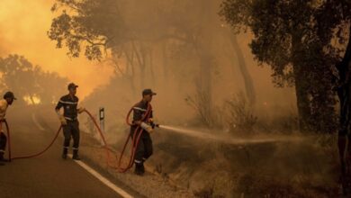 19B858F3 F21D 4750 90CA D5E75507A222