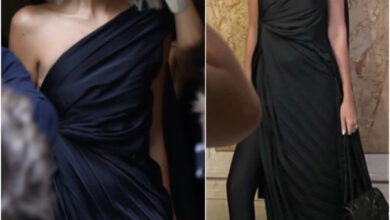 215D5AC4 FED2 4072 B419 D2535FAAAD75