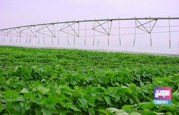 339E60F2 0C80 4F8E A3DD 0D541D3E7F46