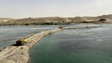 3453C9E3 FC34 473A AD1D 3903FFAB8CDD