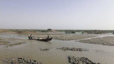 39F39242 7573 4E6B AF33 63E1D6560C1C