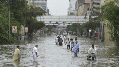 438DA259 CB29 4E90 A6DB 11530EB465B2