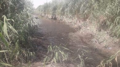 45CA3157 5320 4CEB AC2B 78DC56BA79AB