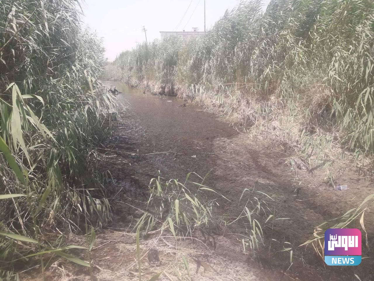 العثور على امرأة عليها آثار طعنات ومتروكة في "بزل" شرقي بغداد 1 45CA3157 5320 4CEB AC2B 78DC56BA79AB