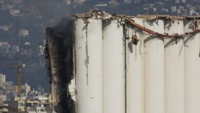 48D87C46 B0FB 4CC0 80DA 65790ED4C024