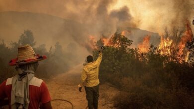 4C25BD62 8851 4145 A014 1C1260DA70AE