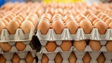 543B8A21 FDA6 4CA7 BB81 AC276DBB9ADC