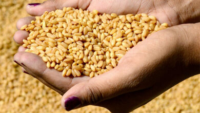 59D0E02E DDCA 4196 9D44 3FDAA3A701EE