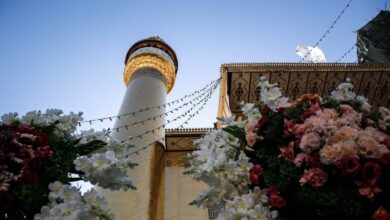 6003DE48 AAFF 433B AC33 49D8F464C26B