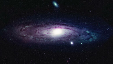 62c00e504c59b7141c3f62bf