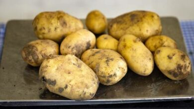 62c160874c59b75fae6ac135