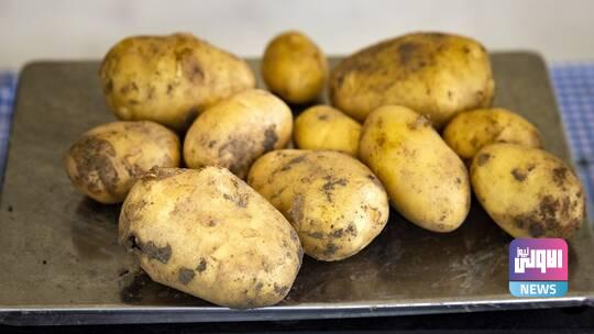 طبيب مصري شهير يعدد فوائد البطاطا الغذائية بعد اتجاه الدولة لاستخدامها فى الخبز 1 62c160874c59b75fae6ac135