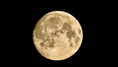 62c2ae494c59b74d665986ae