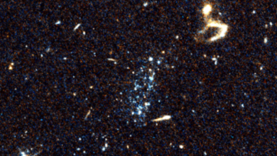 نقاط زرقاء غامضة قد تكون نوعا جديدا من النظام النجمي نشأت بواسطة "تقلبات البطن المجرية" 6 62c4336942360402d77dc0c2