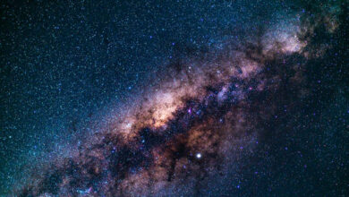 62c7ff2f4236045c38183508