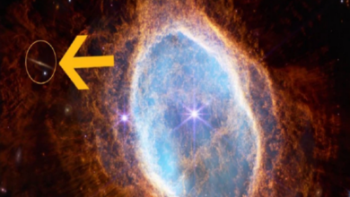 62ce7edc4c59b75cf8393ef6