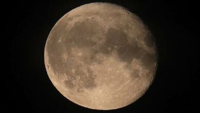 62d68036423604693337c5c1