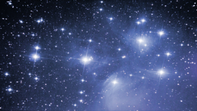 62d93ce142360461d325ab69