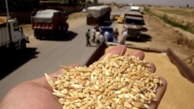 6B57A0F1 A74B 46D5 90E8 DE84AECDA7F3