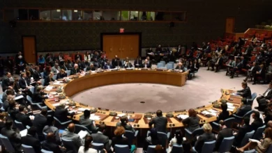 6BD058CE F1D2 48B2 A024 B42C38B91673