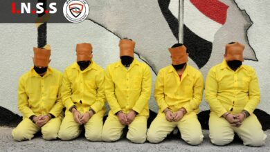 6C0BAA04 64B5 46F2 86C1 8308825296FE