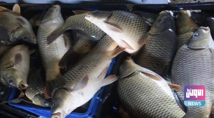 6D0EB2E1 34B3 4D10 AA3B A1D91E790FA4