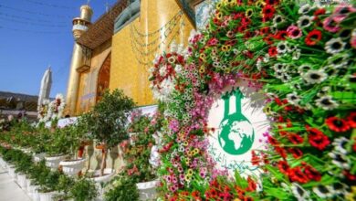 6DDDFA0D D7D9 402D 9114 4B625EDA356F