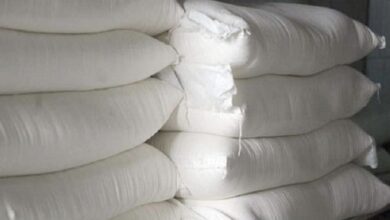 7060DEC0 CEA1 4CE7 89DC 5AE577D7EB4E