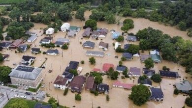 71A81002 07FF 49E0 B3AA 4383102012A2