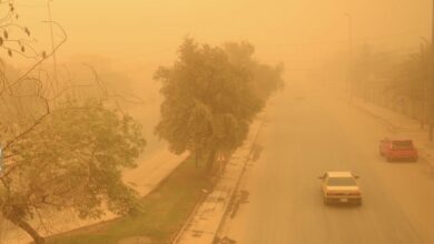 7369200D 2A44 4B8F AA46 AB9CAECFC368