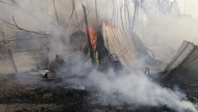 73A9DFC9 2E7C 41C5 AF48 C1988FBAA750