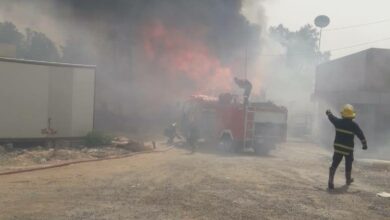 7432F092 B407 4500 99CA C7B3046467C7