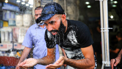 77224281 1742 4AA5 BF67 9CB632CD211E